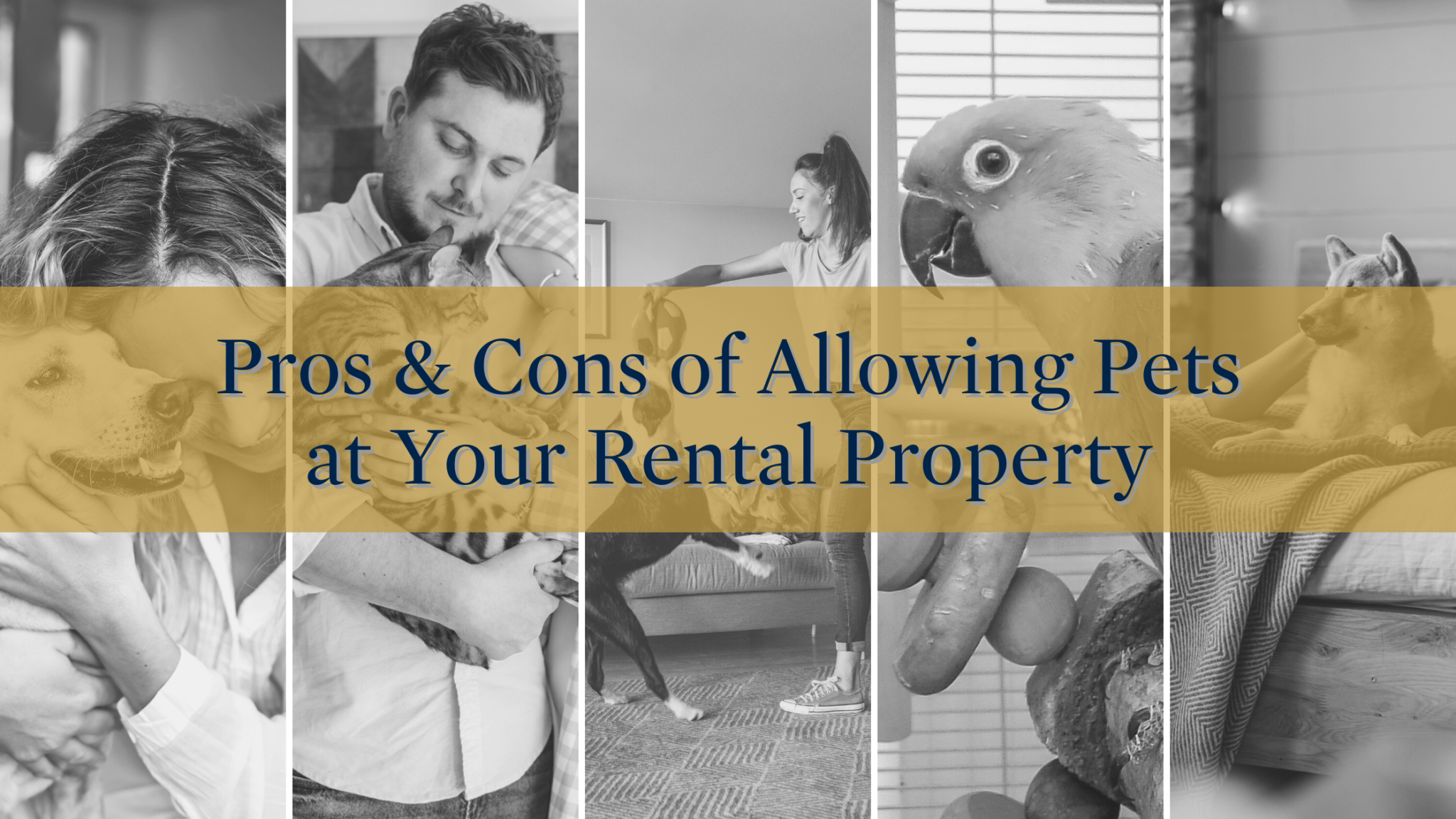 The Pros and Cons of Allowing Pets at Your Rental Property
